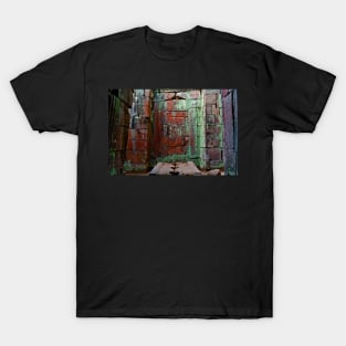 In an old Angkor temple with walls colored by nature. T-Shirt